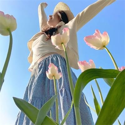 菜肉馄饨 电影海报